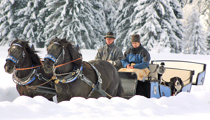 Horse and sleigh - Salzburgerland